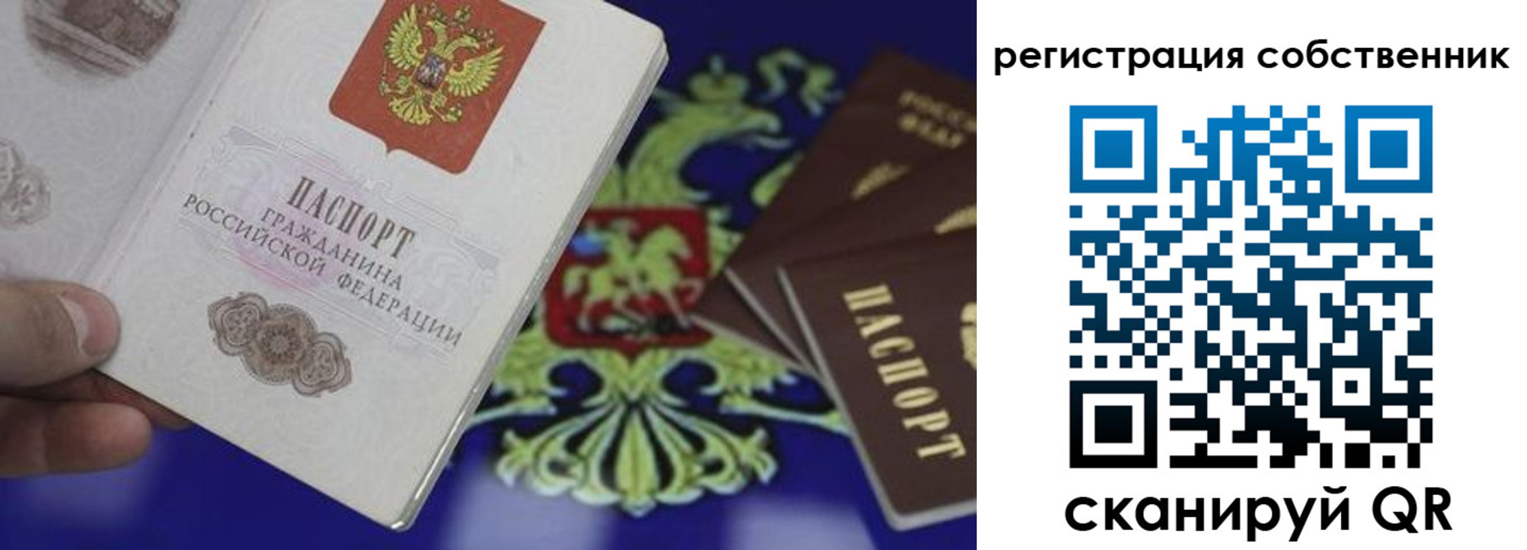 временная регистрация надежно в Белгородской области